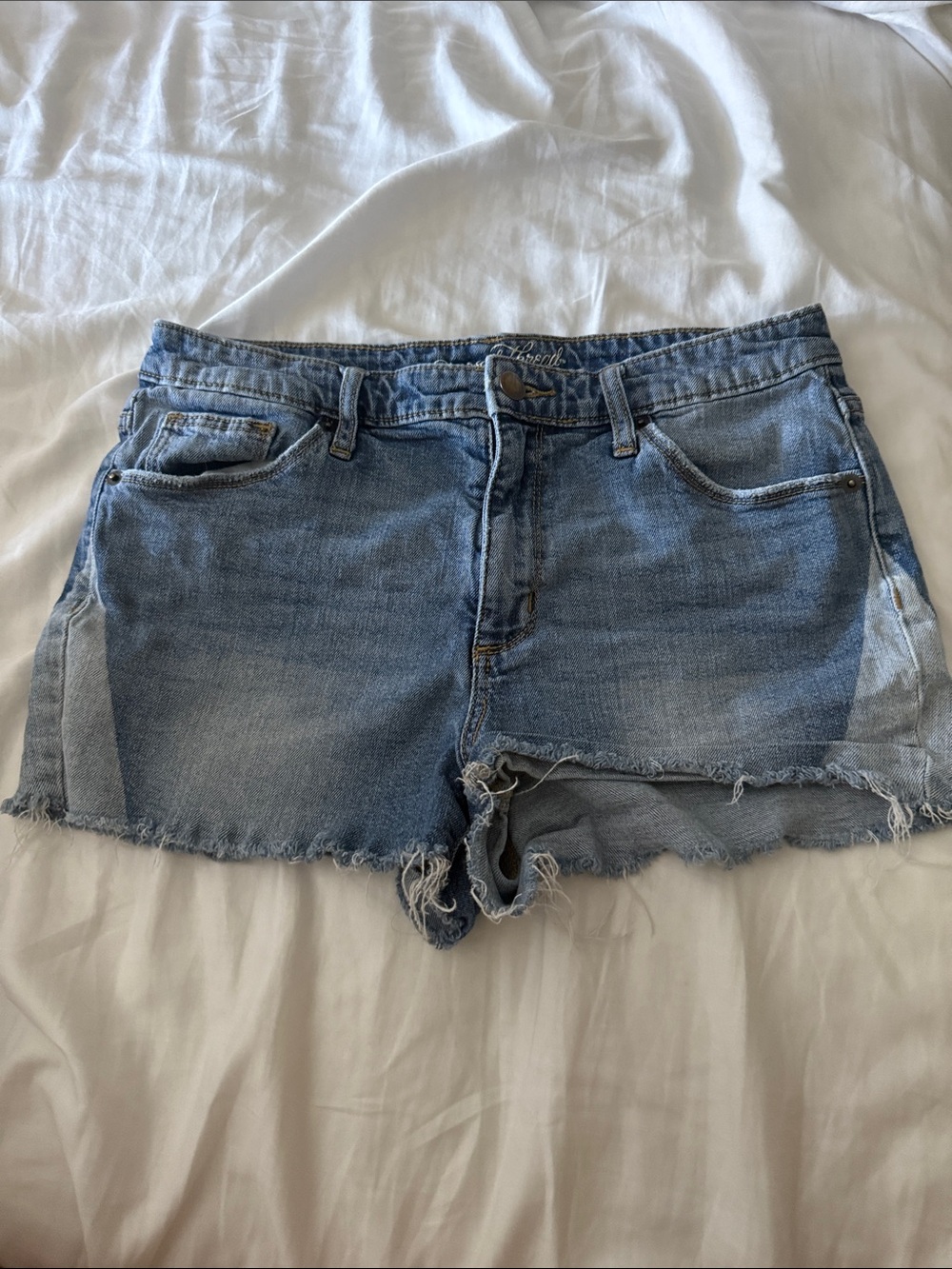 Light Blue Denim Cutoff Shorts